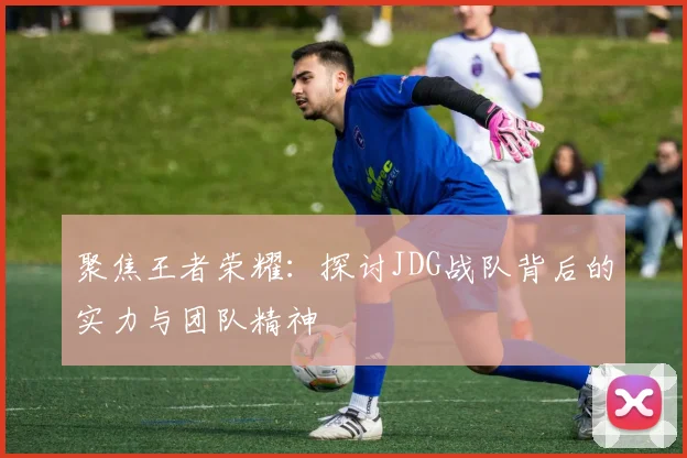 聚焦王者荣耀：探讨JDG战队背后的实力与团队精神